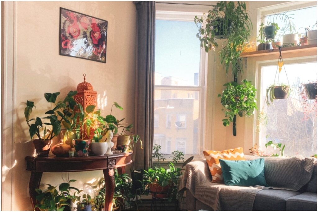 Decoração Apartamento Pequeno: 10 Dicas Incríveis de como Decorar Gastando Pouco 13 Decorcao apartamento pequeno com plantas