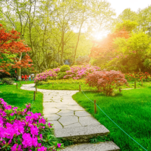 Tecnologia jardinagem